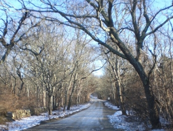 Meeting House Road