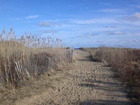 the path to Lucy VIncent