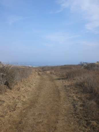The Cliffs at Lucy VIncent
