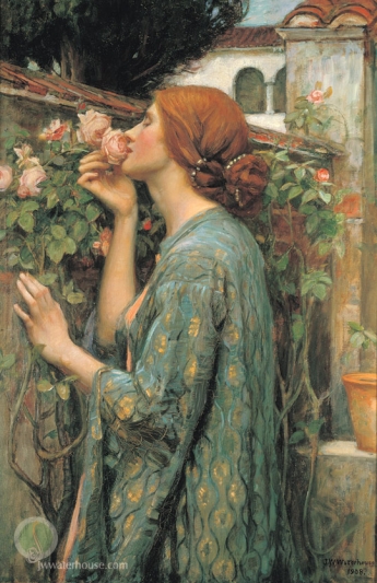 nectar seeker